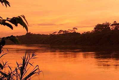 Reserva Nacional Tambopata 3 días / 2 noches | PAE