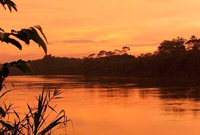 National Reserve Tambopata 3 days / 2 nights | PAE