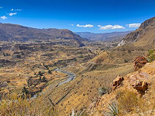 Colca Canyon – Arequipa.