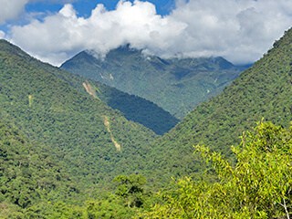 Cusco – Bosque de Nubes (Parque Nacional del Manu)