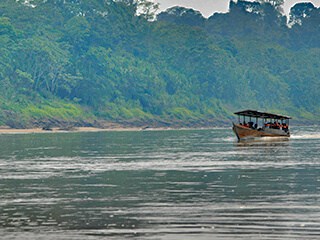 Tambopata