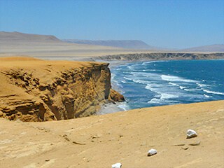 Islas Ballestas & R. N Paracas